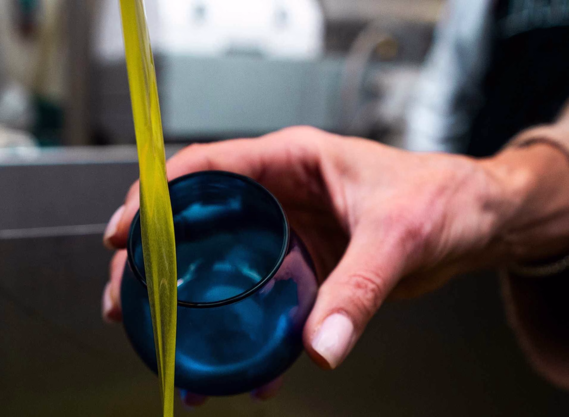 Campagna olearia 2025/2026